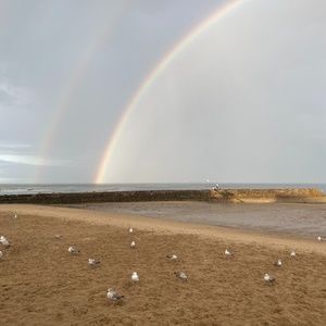 Meet your Posher, Renan